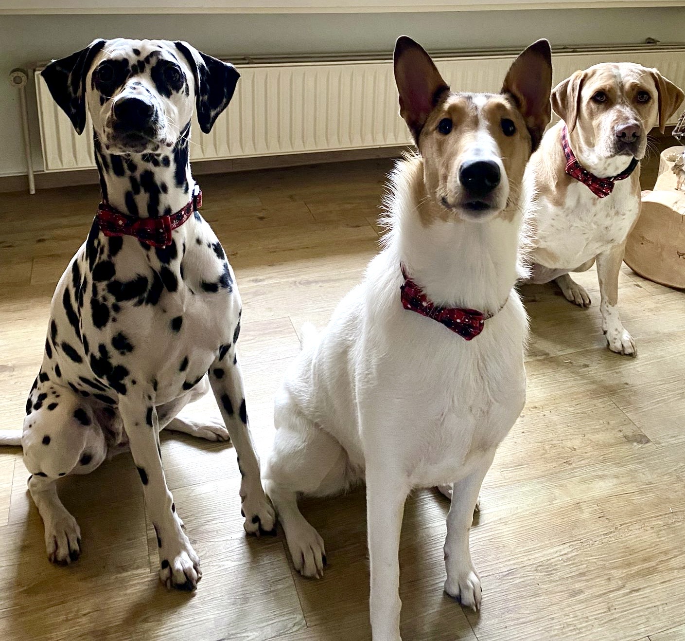 Lou, Mila und Lola
